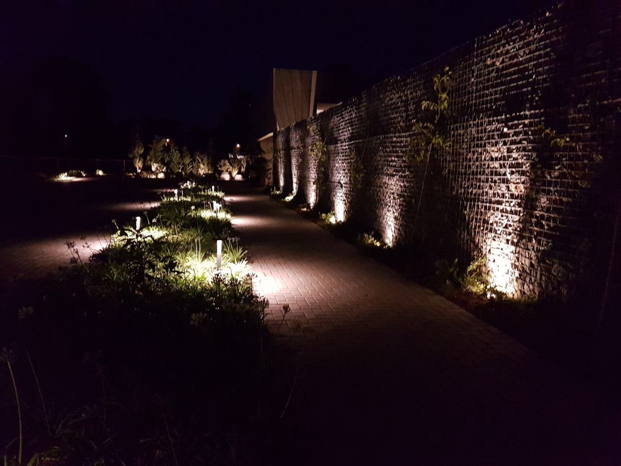 Proyecto Grupo Ideas Verdes 3