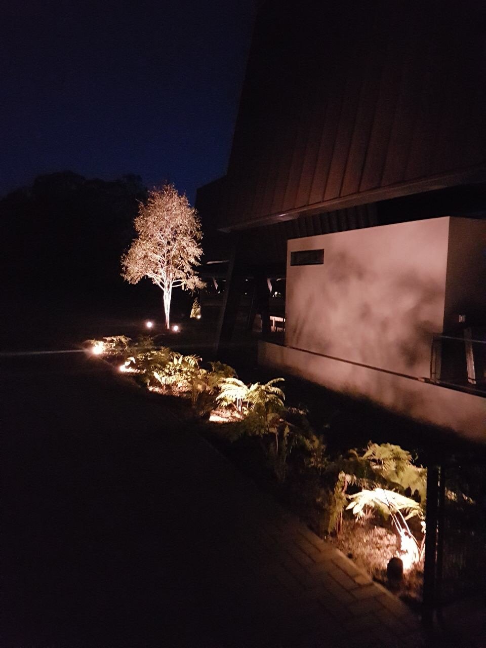 Proyecto Grupo Ideas Verdes 4