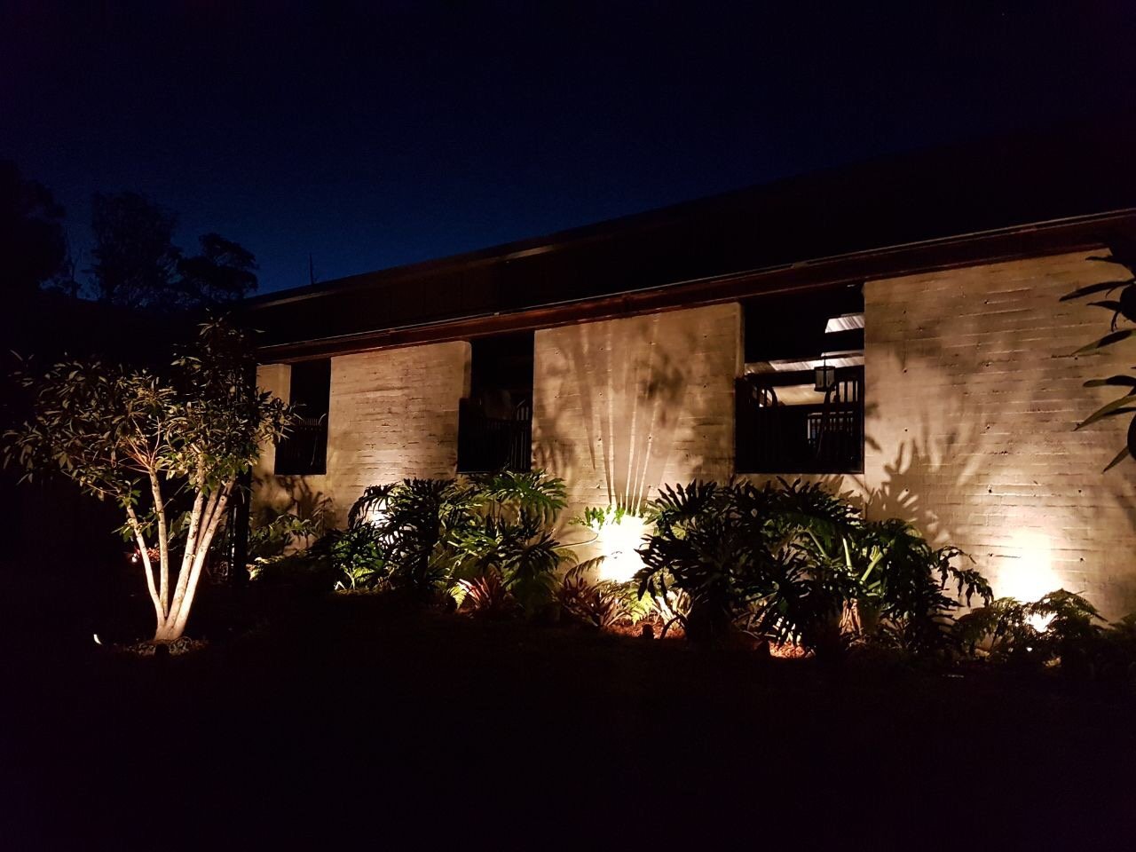 Proyecto Grupo Ideas Verdes 5