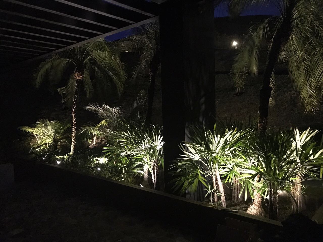 Proyecto Grupo Ideas Verdes 6