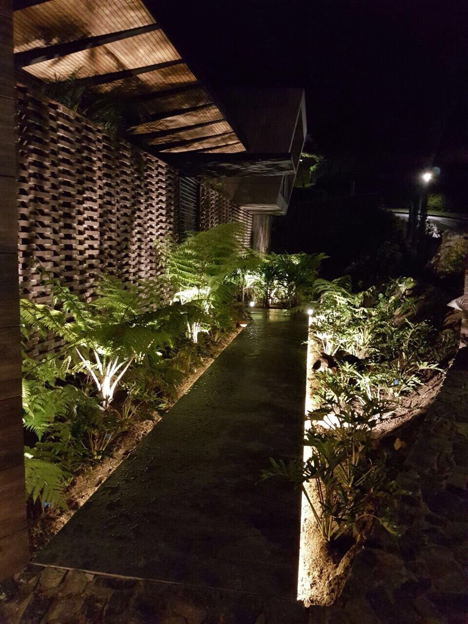 Proyecto Grupo Ideas Verdes 7